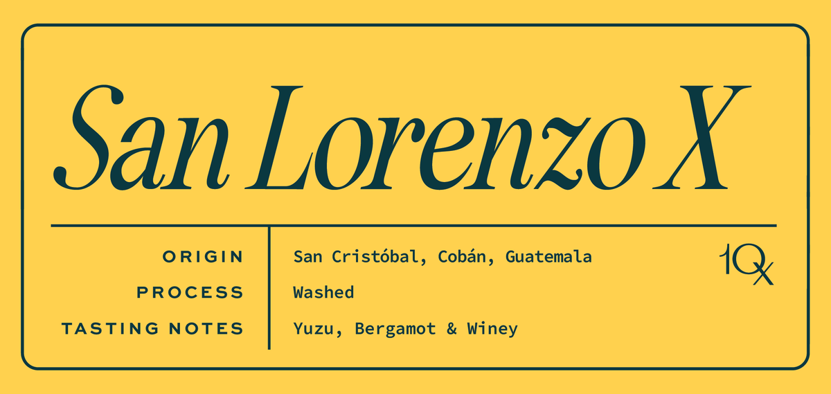 San Lorenzo X