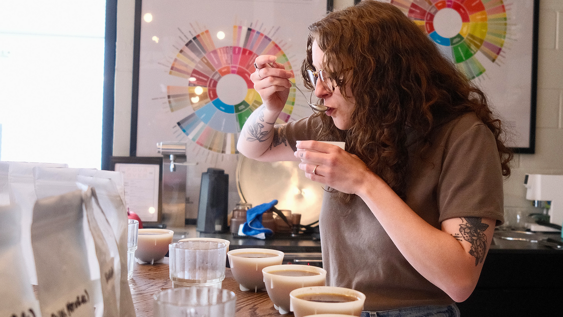 What is Coffee Cupping? – Tenfold Coffee