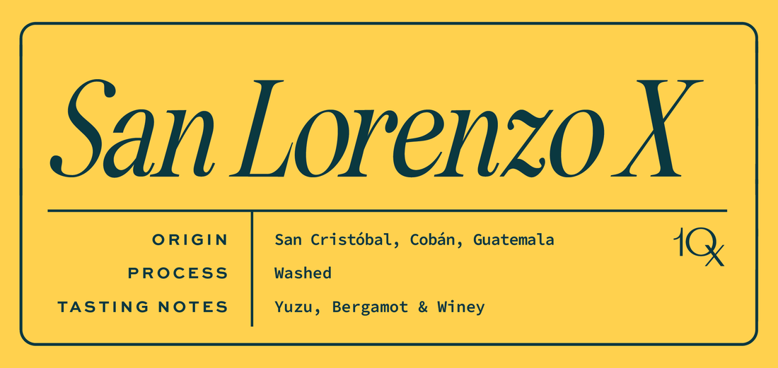 San Lorenzo X